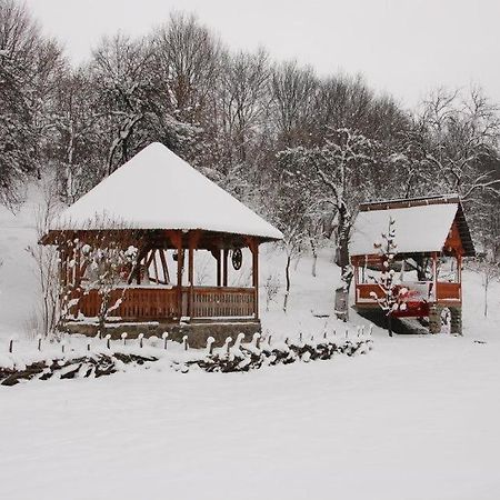 Pensiunea La Gorgan Vadu Izei Exterior foto