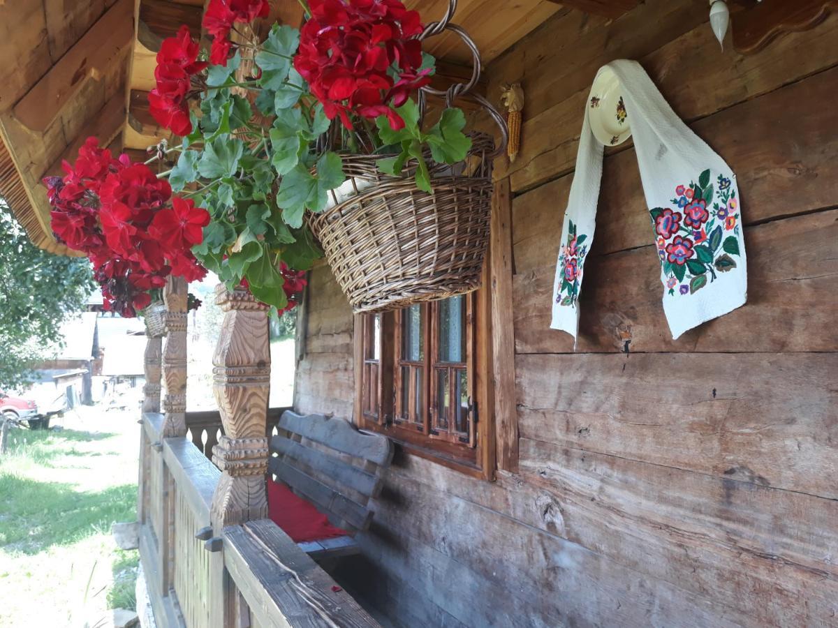 Pensiunea La Gorgan Vadu Izei Exterior foto