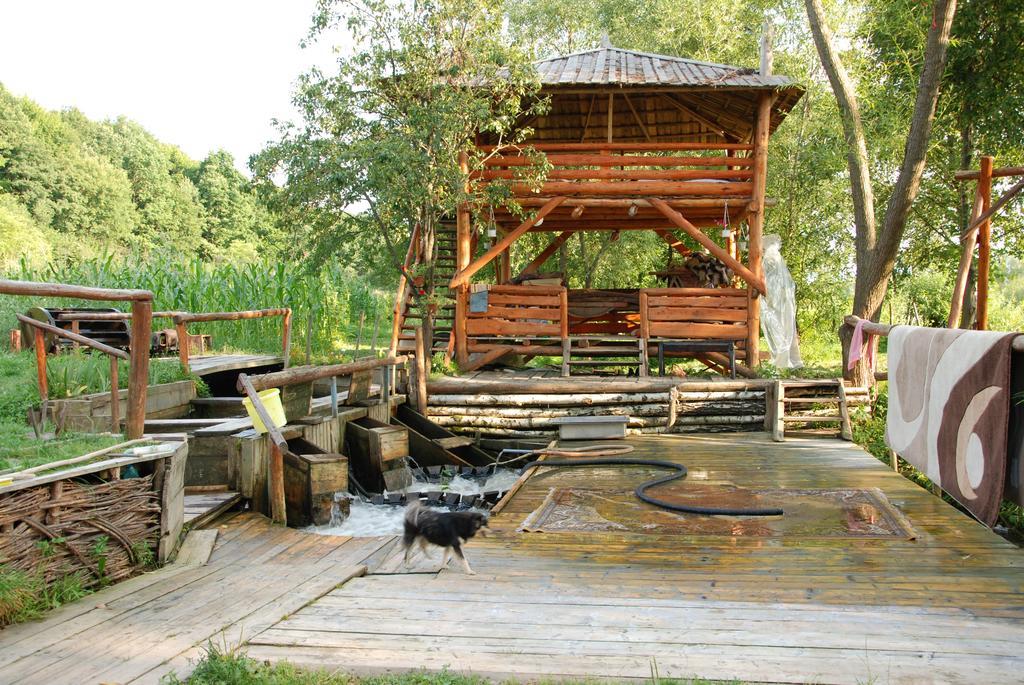 Pensiunea La Gorgan Vadu Izei Exterior foto