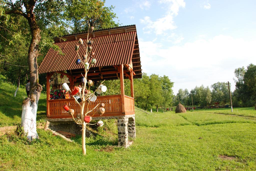 Pensiunea La Gorgan Vadu Izei Exterior foto