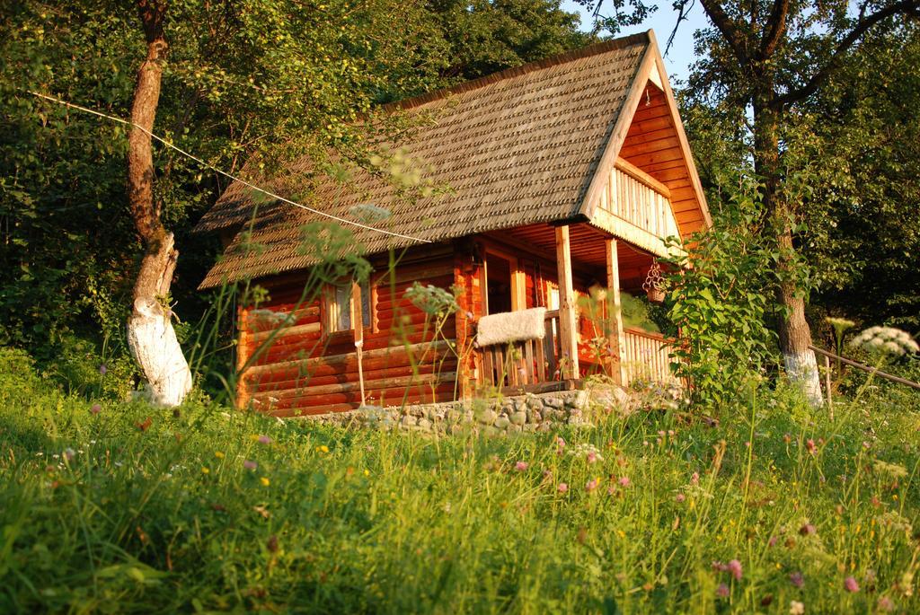 Pensiunea La Gorgan Vadu Izei Exterior foto