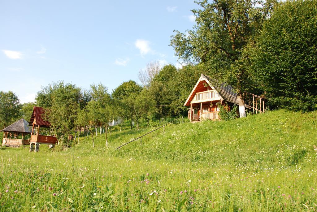 Pensiunea La Gorgan Vadu Izei Exterior foto